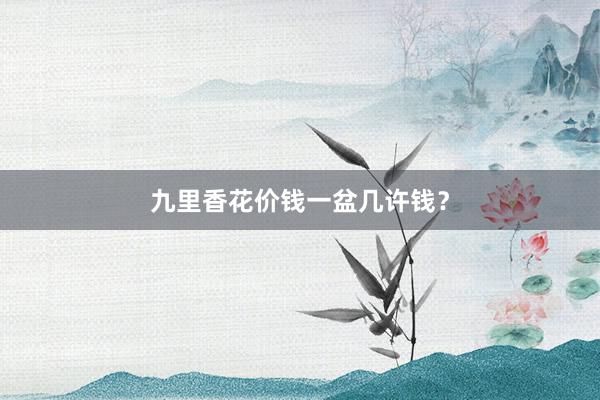 九里香花价钱一盆几许钱？