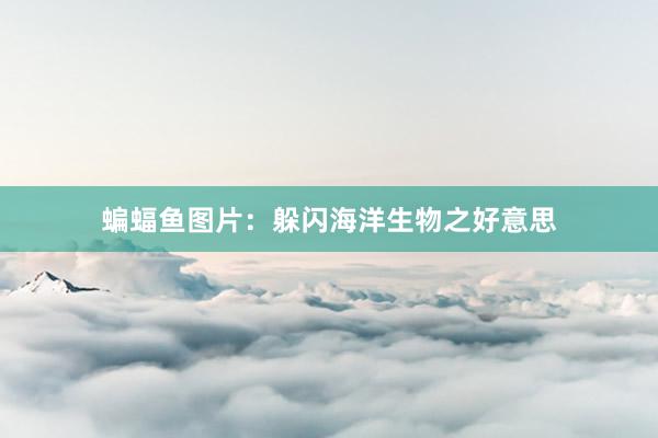 蝙蝠鱼图片：躲闪海洋生物之好意思