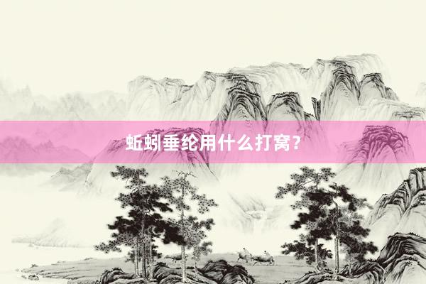 蚯蚓垂纶用什么打窝？