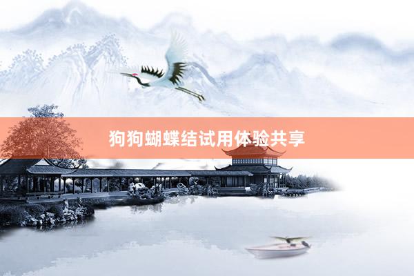 狗狗蝴蝶结试用体验共享