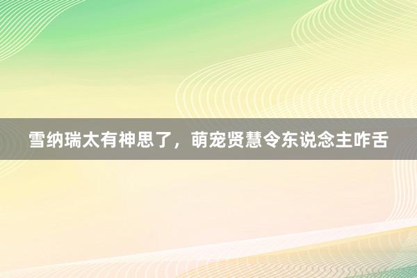 雪纳瑞太有神思了，萌宠贤慧令东说念主咋舌