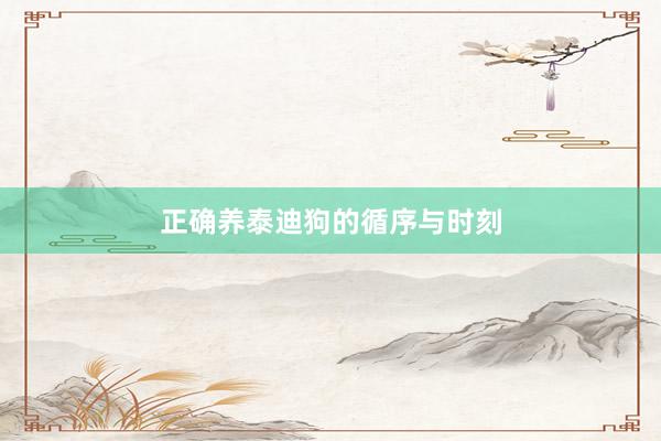 正确养泰迪狗的循序与时刻