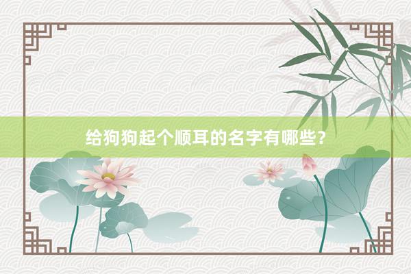 给狗狗起个顺耳的名字有哪些？